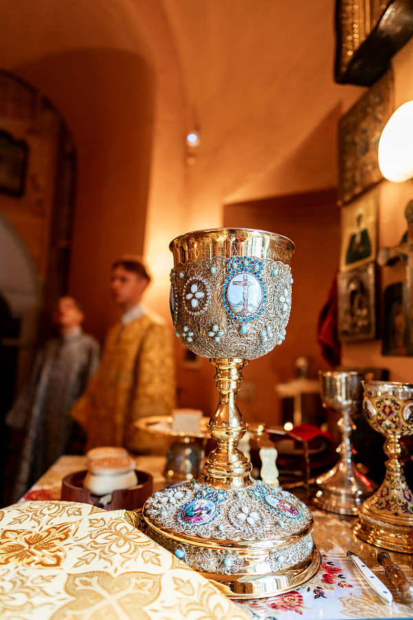 Архиерейское богослужение в Спасском храме деревни Прохорово м.о. Чехов
